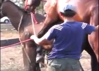 Hard fuck with two Japanese horses cumming