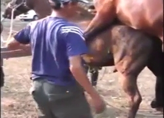 Hard fuck with two Japanese horses cumming