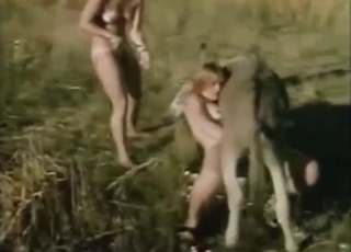 Donkey-fucking girl is going to moan pretty loud