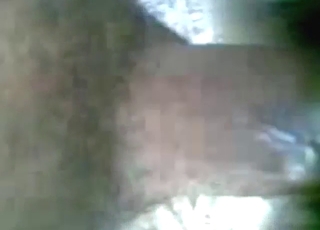 Slutty mule with a moist hole takes human cock