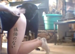 Black dog fucks a slutty beastlover from behind