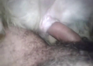 Sexed-up animal is going to get fucked deep