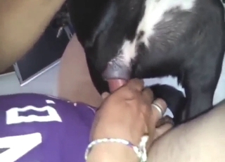 Black and white dog takes dick in a taboo vid