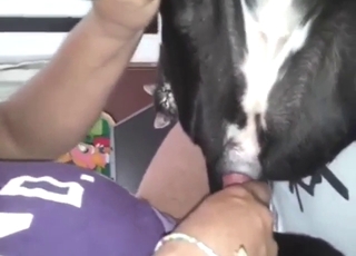 Black and white dog takes dick in a taboo vid