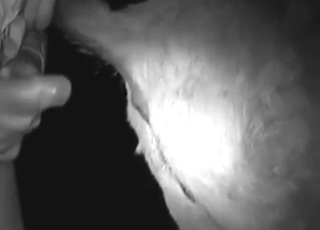 Close-ups, teasing, and deep fucking in HD