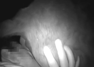 Close-ups, teasing, and deep fucking in HD