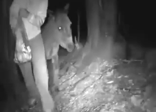 Close-ups, teasing, and deep fucking in HD