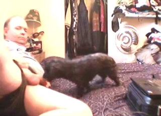 Zoo sex: oral pleasure from a sexy black dog