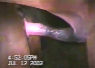 Zoophile voyeur fodder: horses fucking silly