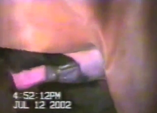 Zoophile voyeur fodder: horses fucking silly