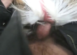 Bestiality sex with a deer, its hole is so snug