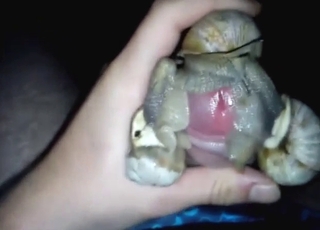 Zoo XXX with snail fucking and legit orgasms
