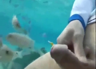 Bestiality porn with fishes is always a rarity