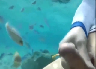 Bestiality porn with fishes is always a rarity