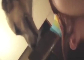 Bestiality sex with a young girl, horny dog