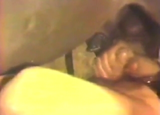 Zoo porn with a gay guy who gets carried away