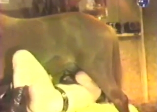 Zoo porn with a gay guy who gets carried away