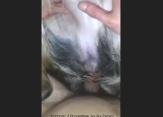 Zoo XXX with a guy and his slutty dog riding