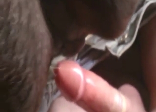 Cow-fucking dude is going to make it SCREAM