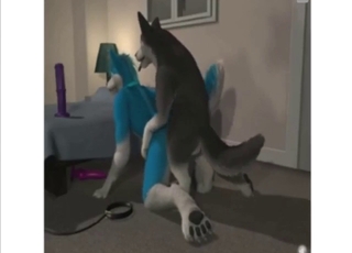 Doggystyle fuck in a furry porn leak, crazy