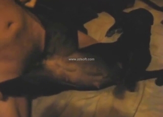 Zoophile guy wants to pussy the beast open