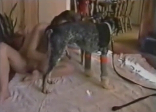 Epic action with a big-cocked dog