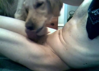 Showing his meaty cock to his dog