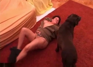 Wrapping them legs around the dog