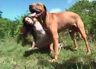 She teases this dog on all fours