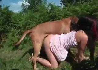 She teases this dog on all fours