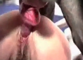 Amazing close-up shots of doggie-style intercourse
