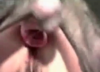 Amazing close-up shots of doggie-style intercourse