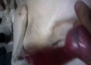 Showing you how my rear end dick is in Point of view