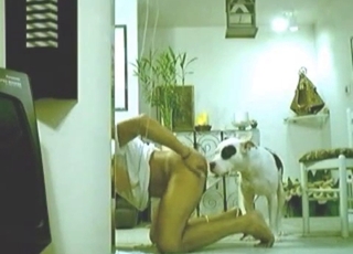 Rear end fashion fuck for a filthy zoophile