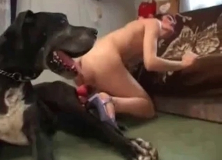 Sexy doggy nicely sucked by super-steamy zoofil
