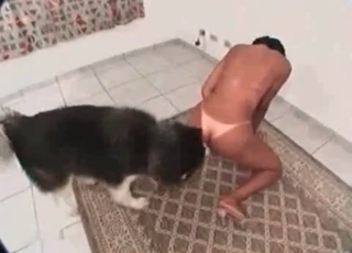 Toned chick and her doggy having amazing sex