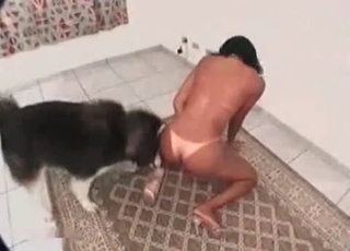 Toned chick and her doggy having amazing sex