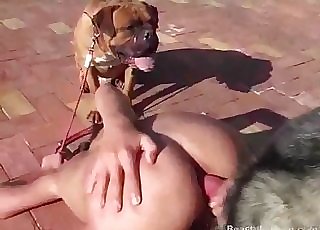 Deviant gets drilled by a dog
