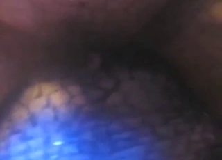 Wanna see guy fuck an alligator, it's right here