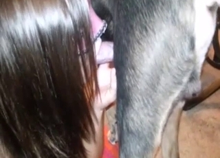 Sweet dog sex activity with a girl in fishnet