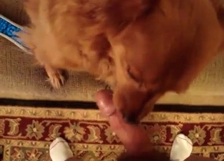 Rear end is attempting to blow me