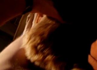 Impressive doggy in the filthy zoophilia XXX