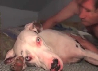 Sexy doggy with blue eyes is enjoying bestiality XXX