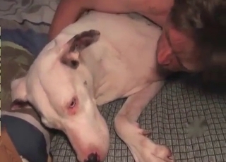 Sexy doggy with blue eyes is enjoying bestiality XXX