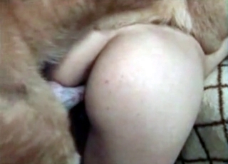Hot whore is banged hard by a great doggie