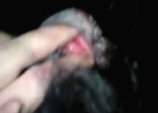 Doggy's tight gash looks so damn fuckable