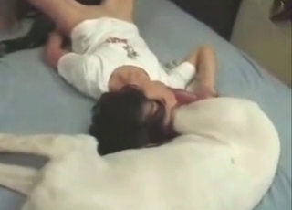 Brunette blows a big-dicked ebony dog