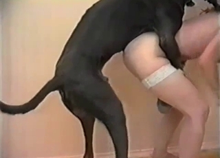 Giant black doberman nailed a hot beauty