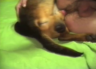 Gorgeous doggy drilled a tight snatch