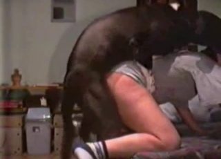 Playful big dog fucked her wet puss